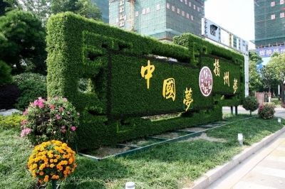 匠心定制，廠價直供 四川綠維文旅打造城市景觀綠雕與花海藝術精品
